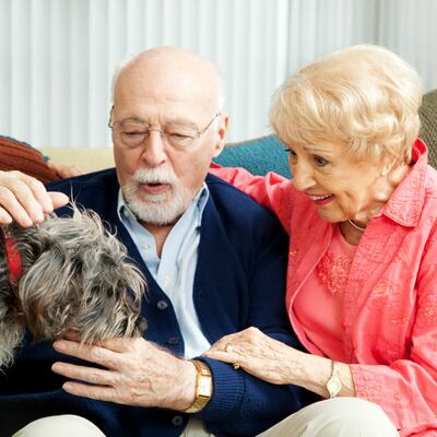 Perros ideales para personas mayores