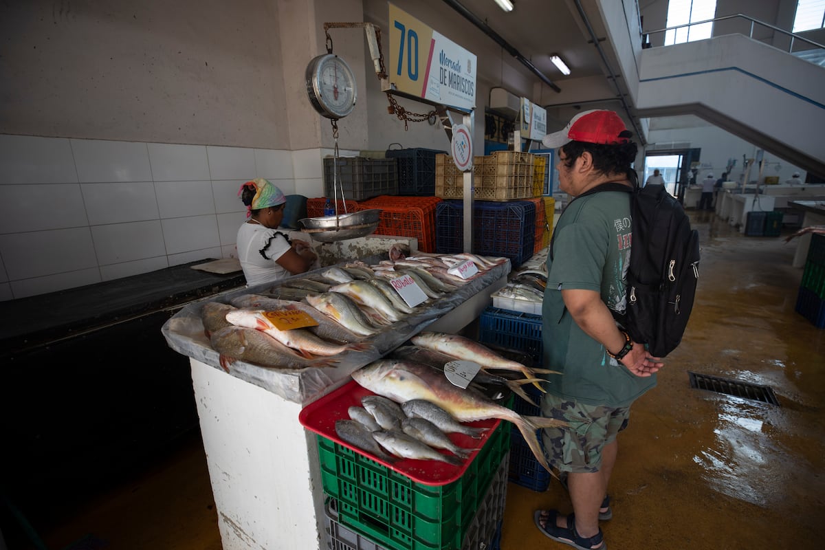 La revista Forbes destaca a Panamá como un destino culinario para 2026