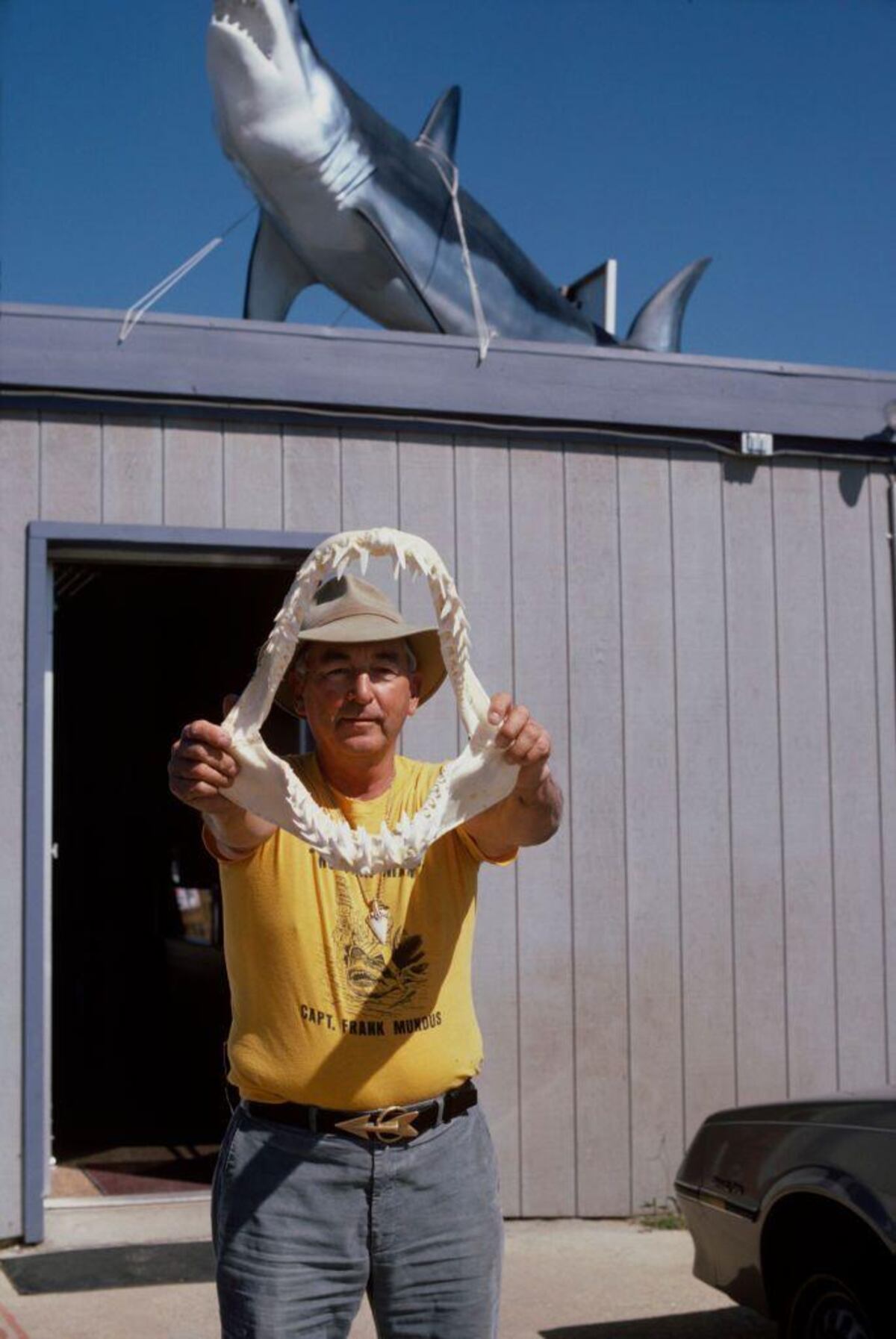 La verdadera historia de los ataques del tiburón que inspiró la mítica película de Steven Spielberg que cumple 50 años