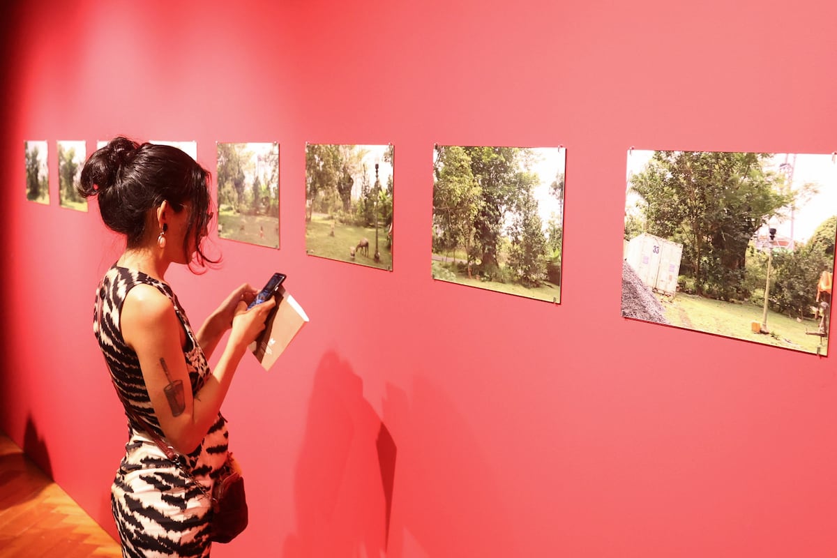 Un jardín clandestino a orillas del Canal de Panamá, pausa frente al veloz comercio global