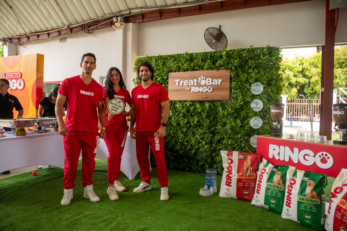 Efecto Ringo, una segunda oportunidad para las mascotas