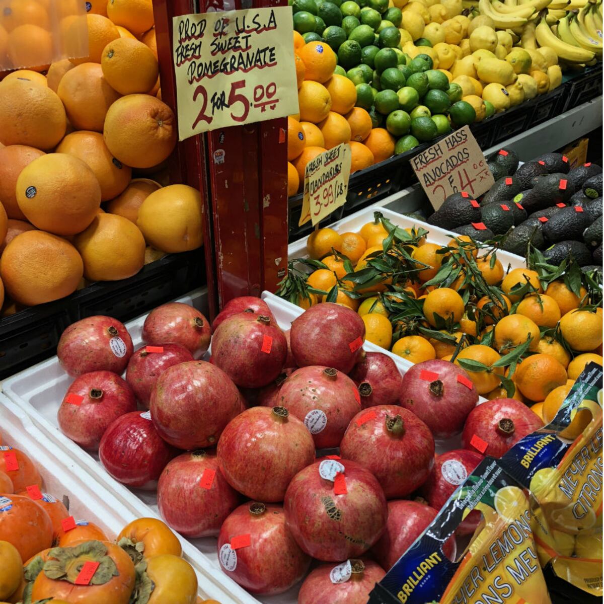 De turista en Toronto, Canadá