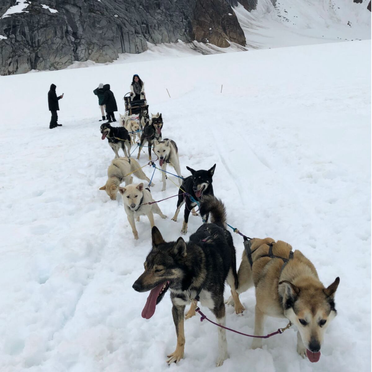 Travesía a la Última Frontera: en crucero por Alaska