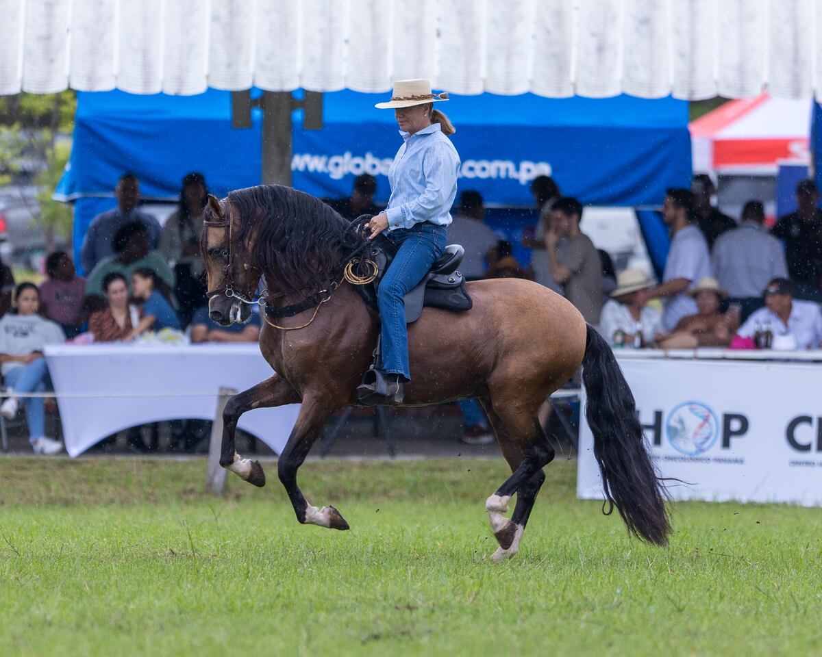 Primera Feria Agropecuaria Equina de Panamá: un encuentro que unió pasión, tradición y desarrollo