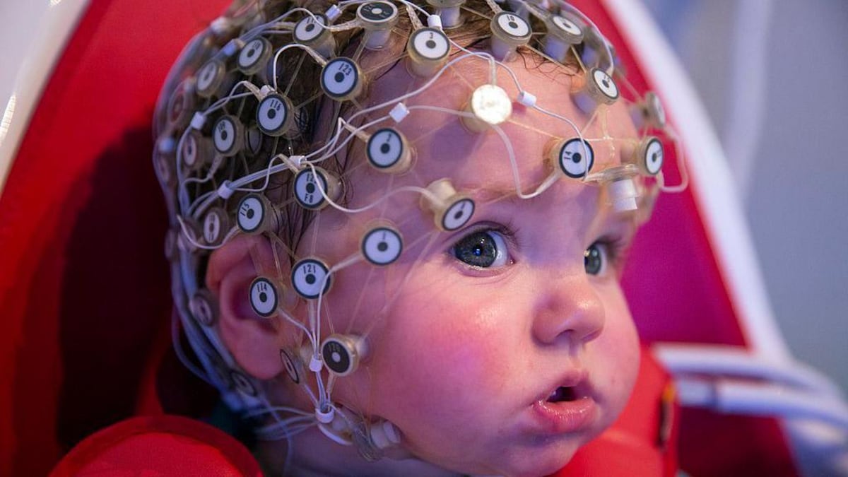 La adolescencia dura hasta los 30 años, según un nuevo estudio (y cuáles son las otras edades clave para el cerebro)