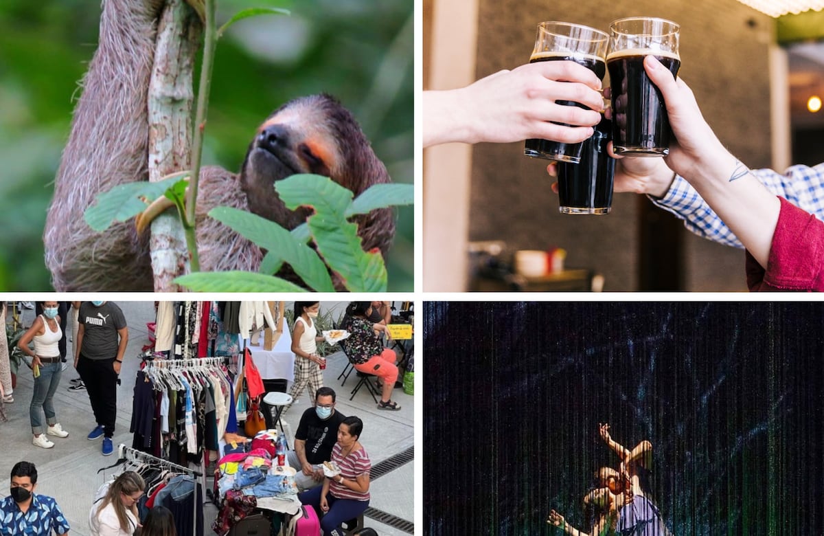 10 actividades en Panamá para realizar este fin de semana