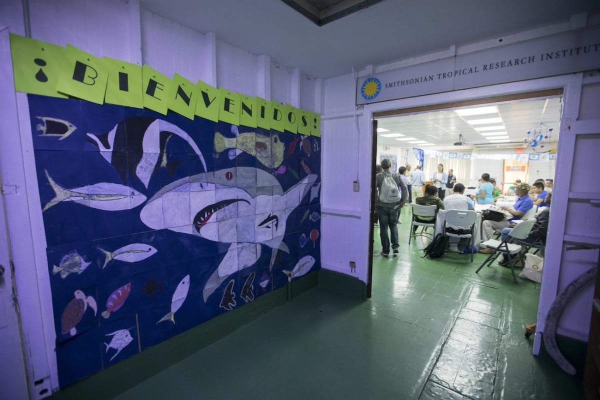 Ciencia frente al mar