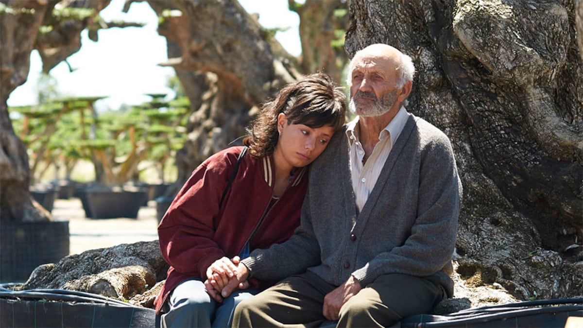 4 películas españolas dirigidas por mujeres se proyectarán gratis en el Gecu