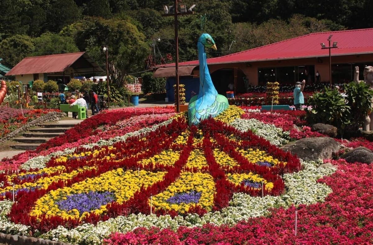 Actividades (algunas gratis) para hacer en verano en Panamá