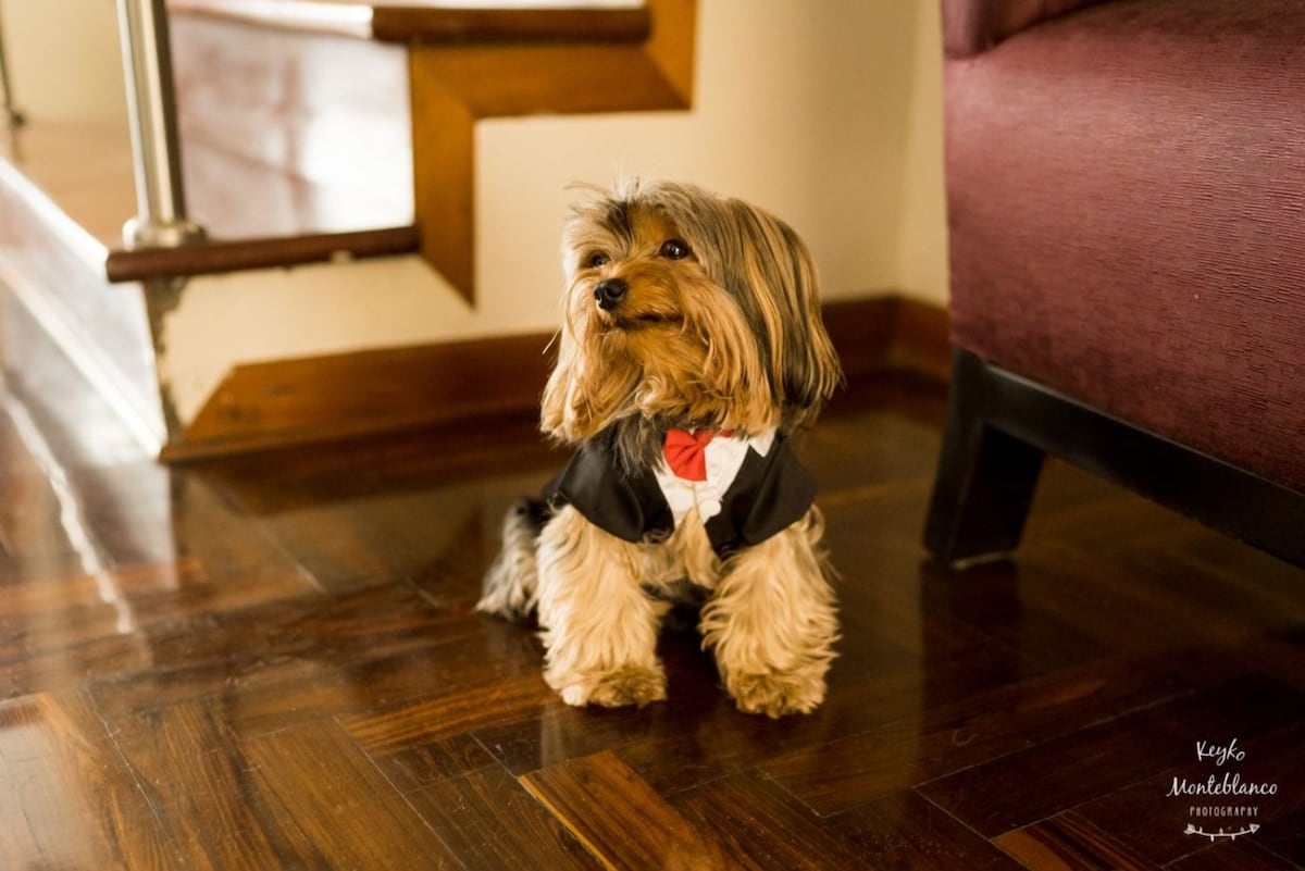 Tu boda a tu modo: seis tendencias para la celebración de tu matrimonio