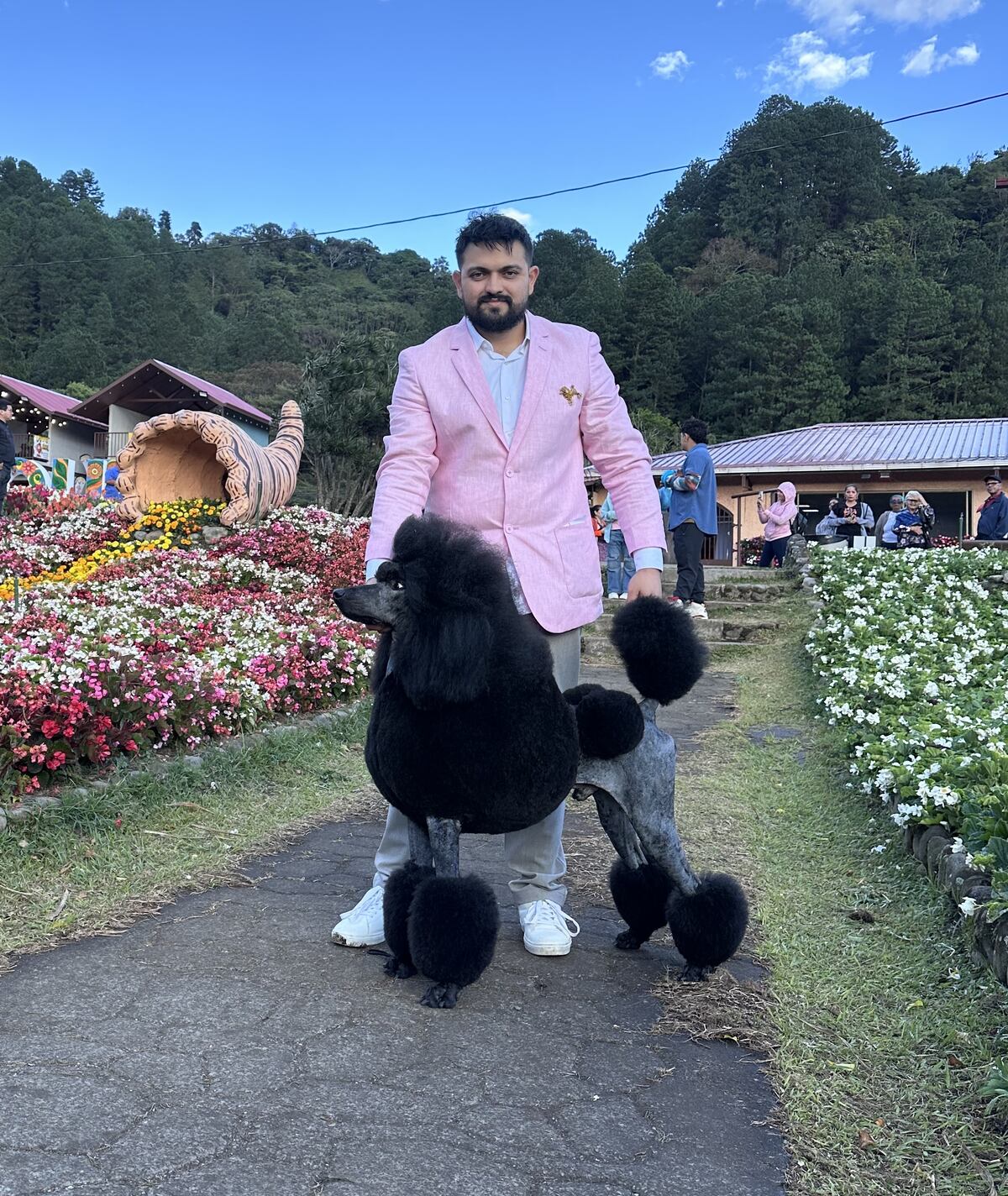 Panamá dice presente en competencia internacional de ‘grooming’ canino