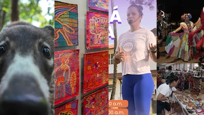 Más allá del Carnaval: actividades alternas que puedes hacer este fin de semana en Panamá