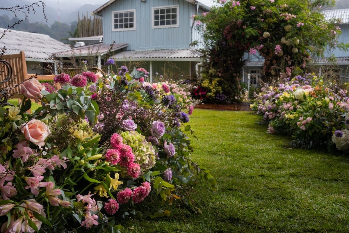 Bajo el cielo de Boquete: La boda de Alexandra y Alex