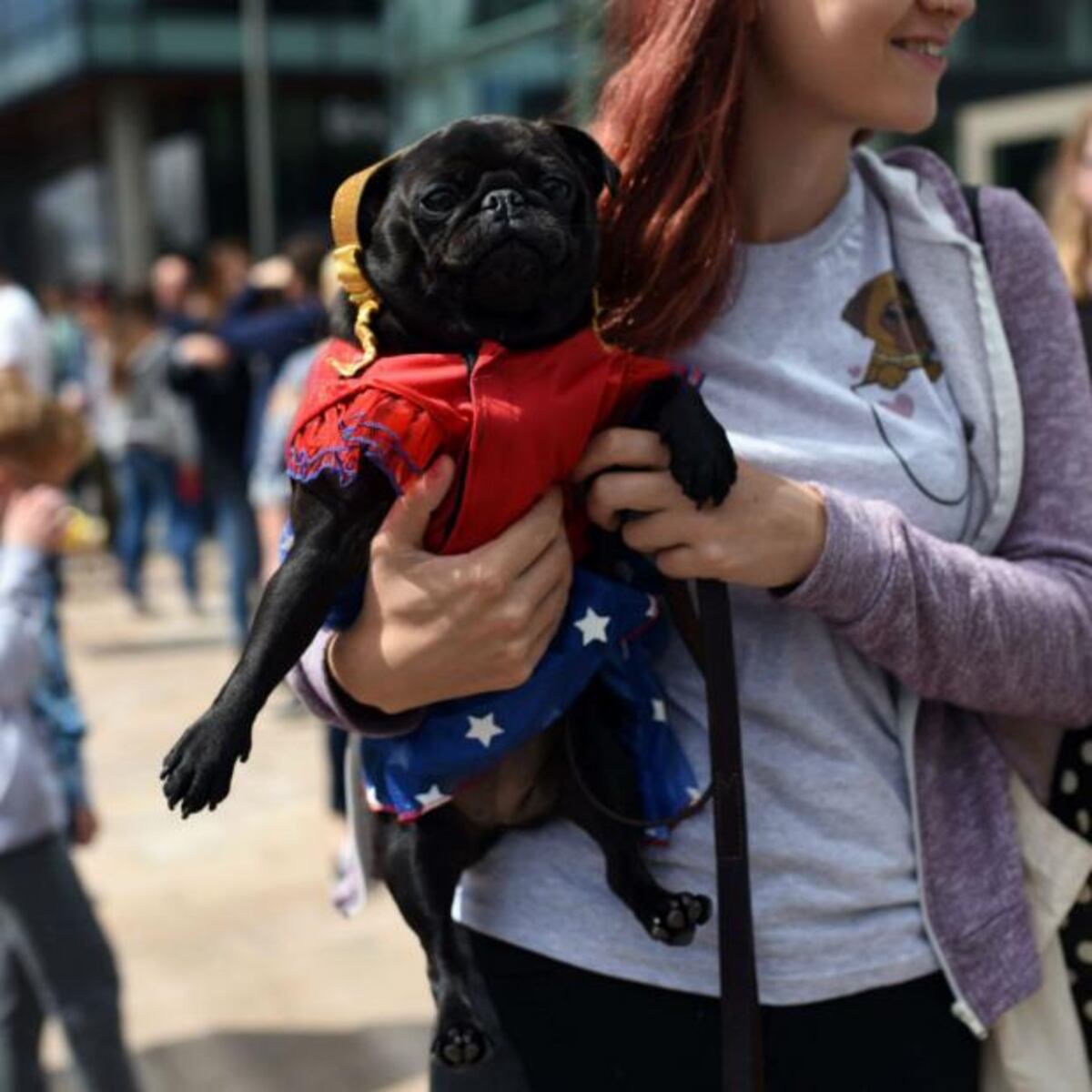PugFest, la fiesta de los perros pugs en Inglaterra