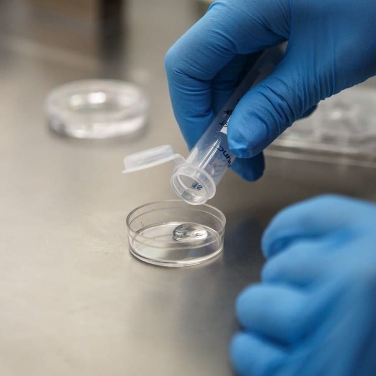 ¿Debo congelar mis óvulos?