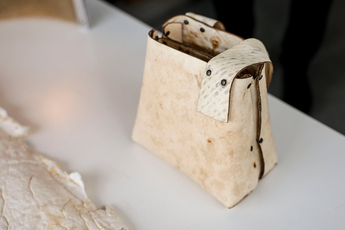 El cuero del futuro se hace con hongos