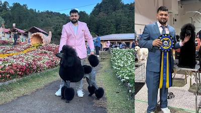 Panamá dice presente en competencia internacional de ‘grooming’ canino 