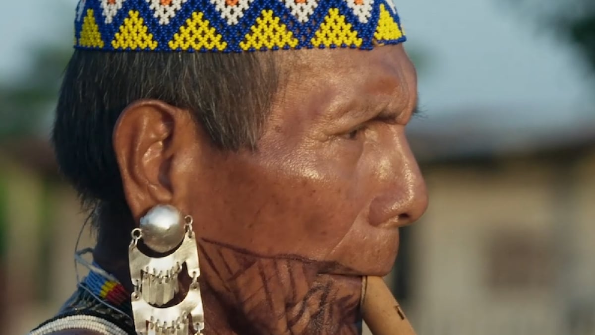 Las 7 películas panameñas que se proyectarán en el IFF Panamá 2026