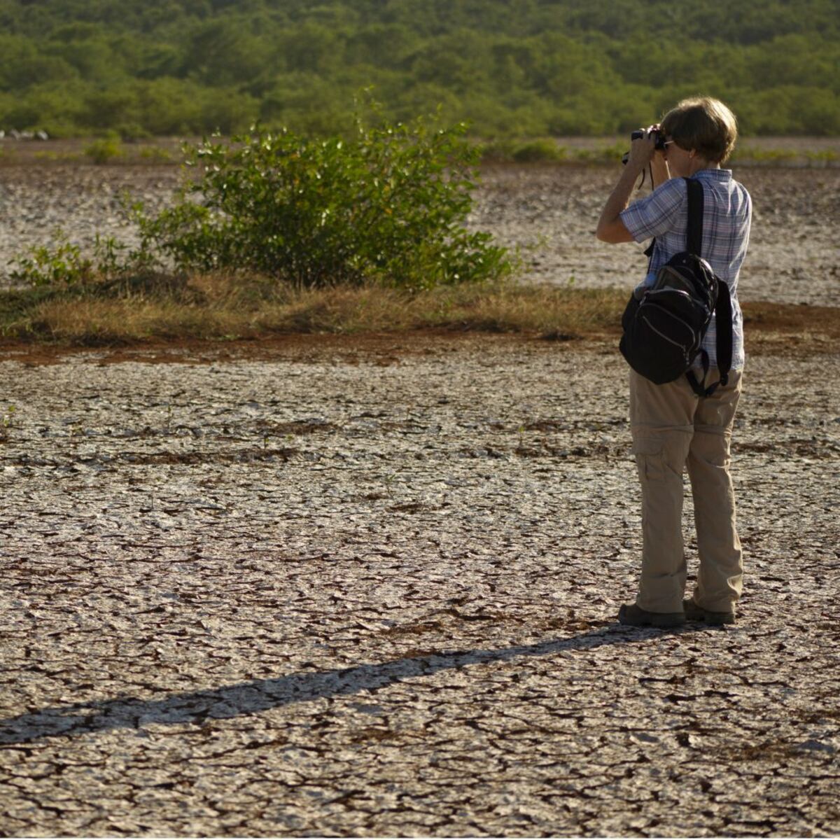 Con las chicas, de campamento a Sarigua