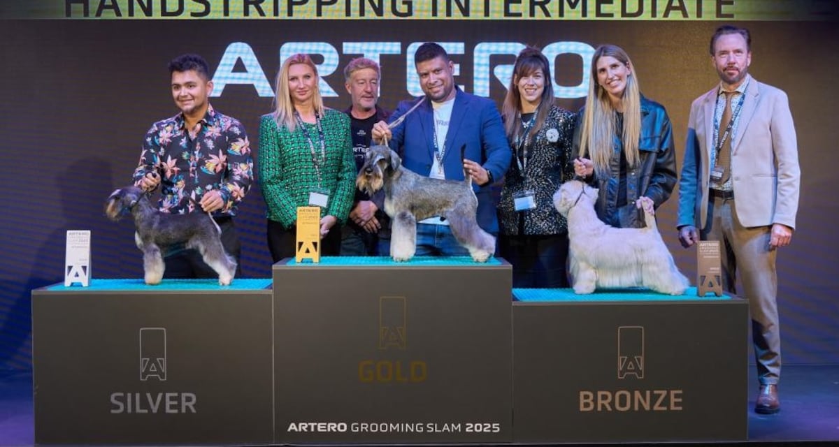 Panamá gana oro en competencia mundial de peluquería canina celebrada en España