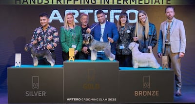 Panamá gana oro en competencia mundial de peluquería canina celebrada en España