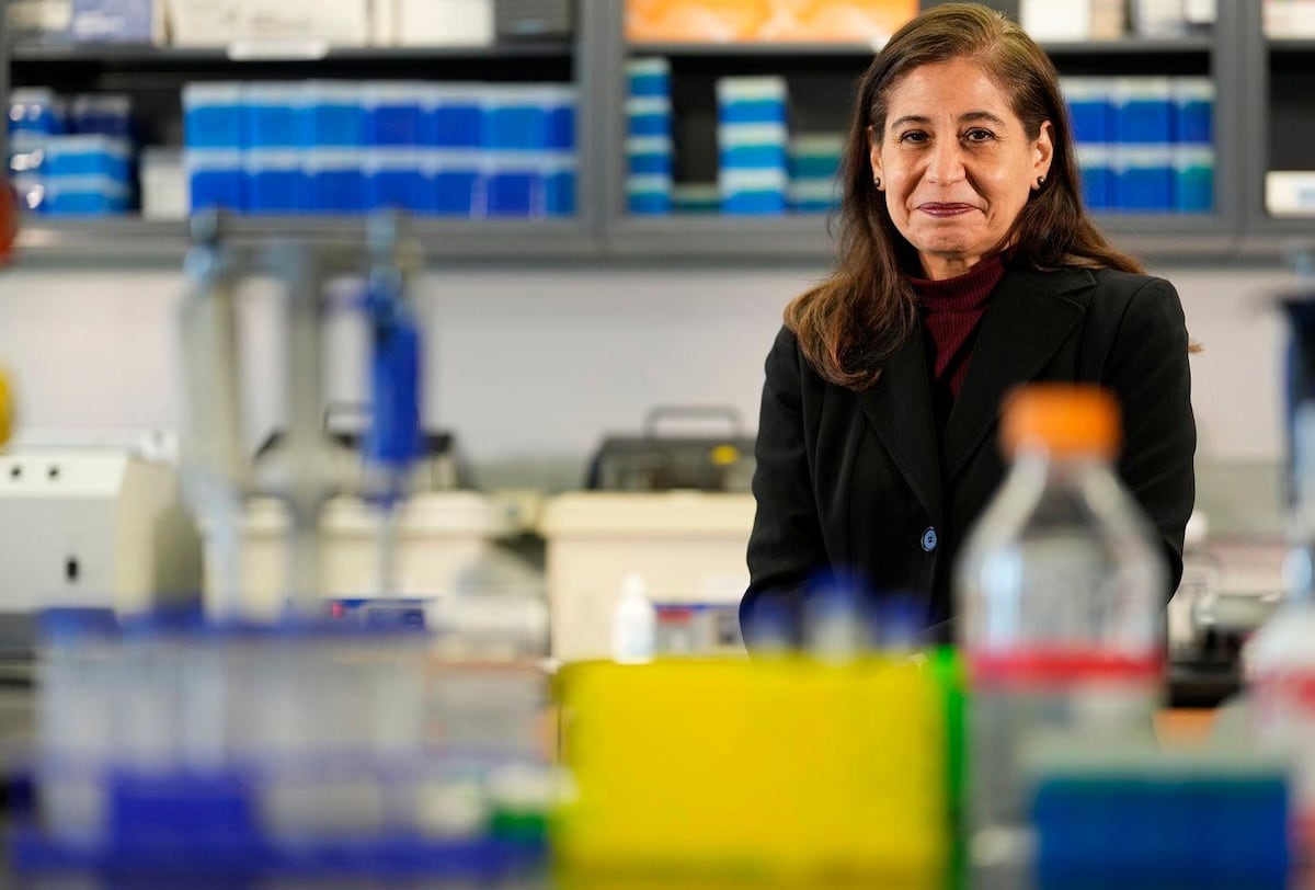 "Si heredamos los mismos genes y crecimos en el mismo ambiente, ¿por qué mi hermana tiene esquizofrenia y yo no?": la científica mexicana que lleva más de 20 años buscando una respuesta