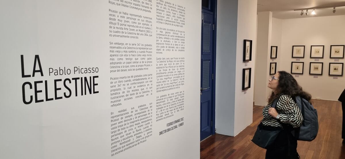 ¿Quieres conocer más sobre los grabados de la serie 347 de Pablo Picasso?