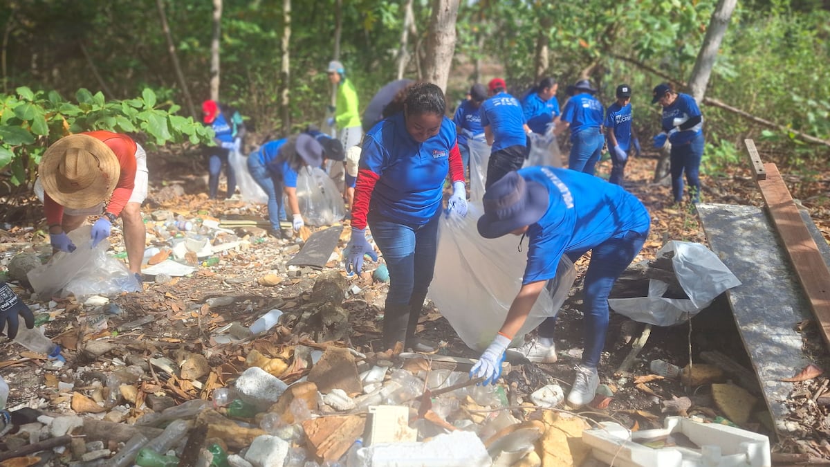 Voluntarios en acción