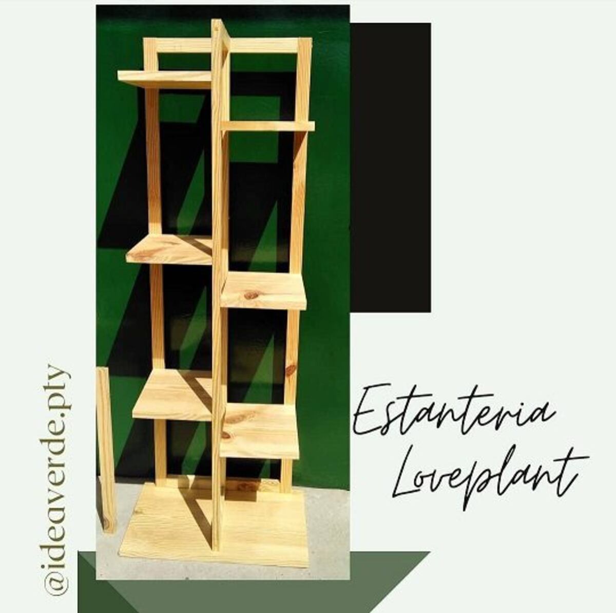 Dónde colocar las plantas (para que vivan felices) en un apartamento