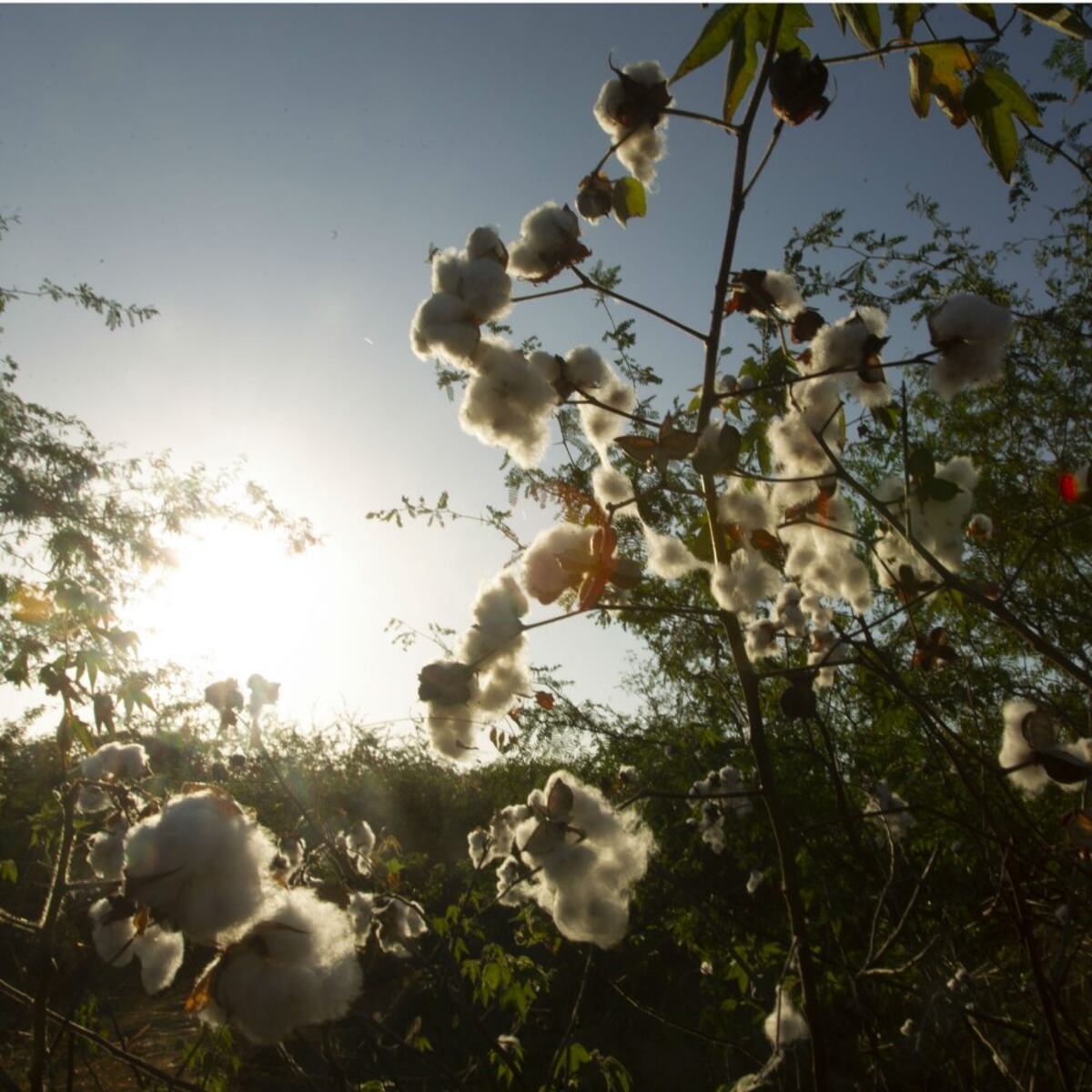 Con las chicas, de campamento a Sarigua