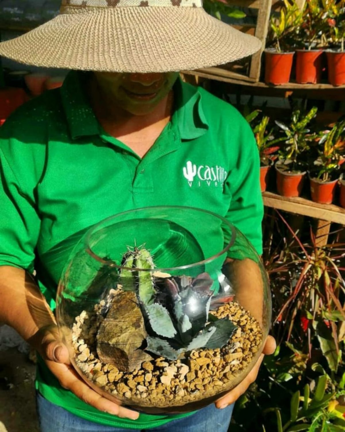 Azuero en ocho paradas