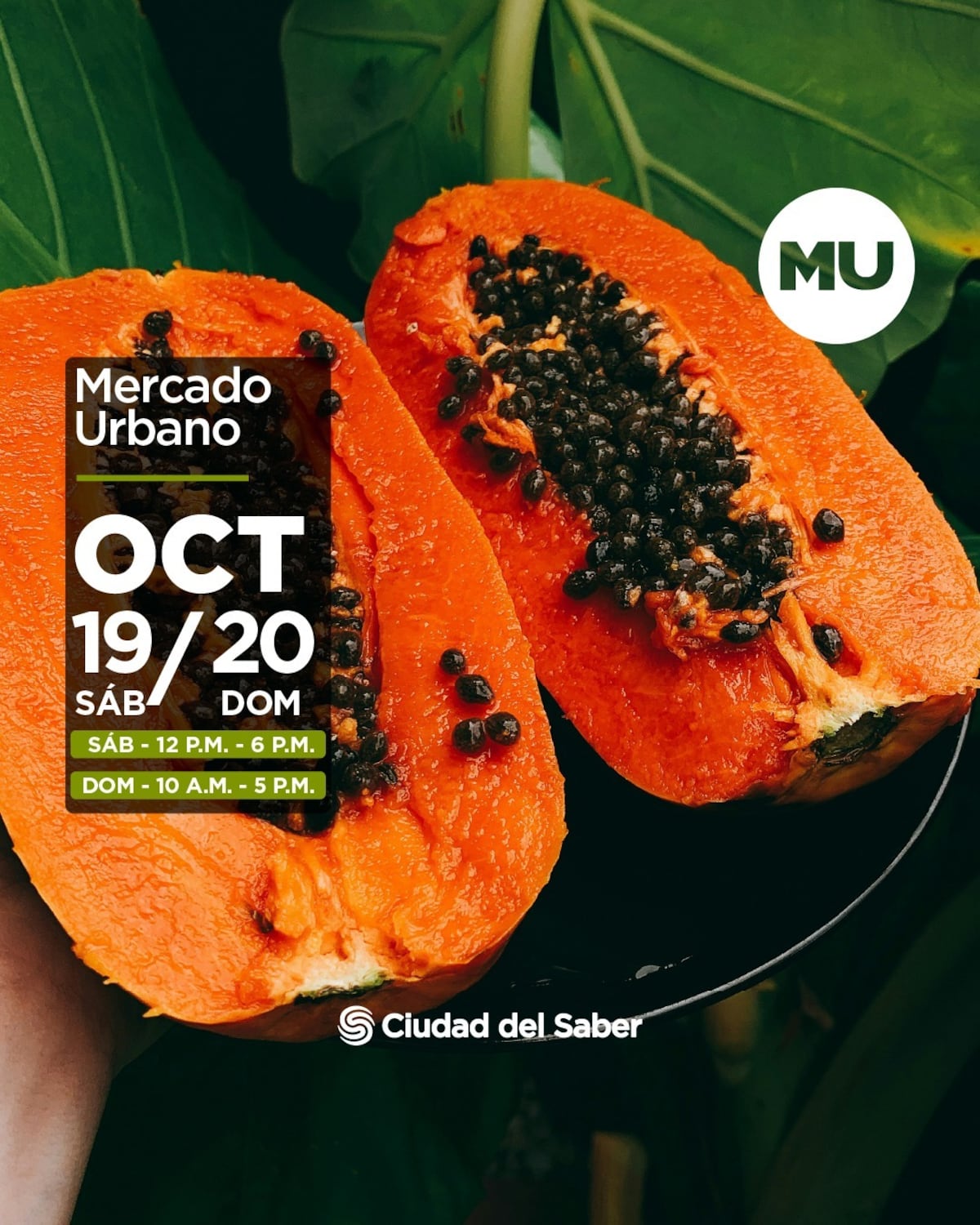 10 actividades en Panamá para realizar este fin de semana