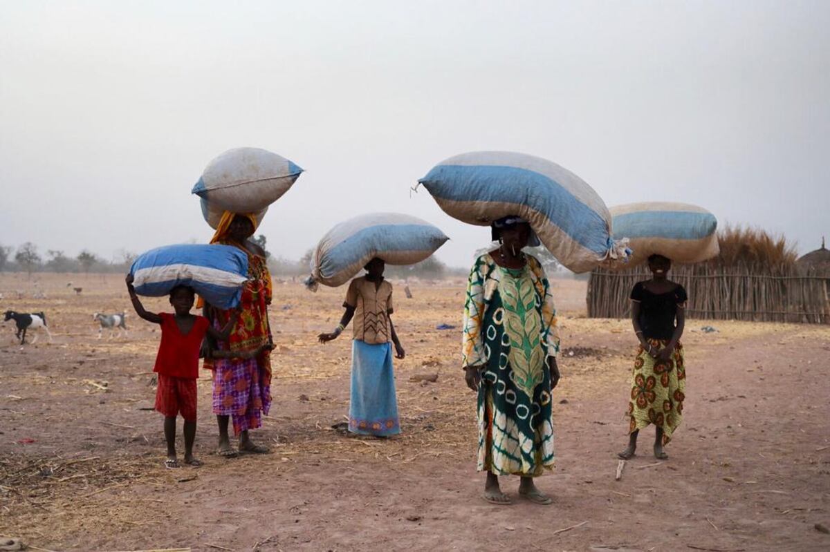 La calle y su geometría, panameña expone en Bienal de Venecia fotos de su celular