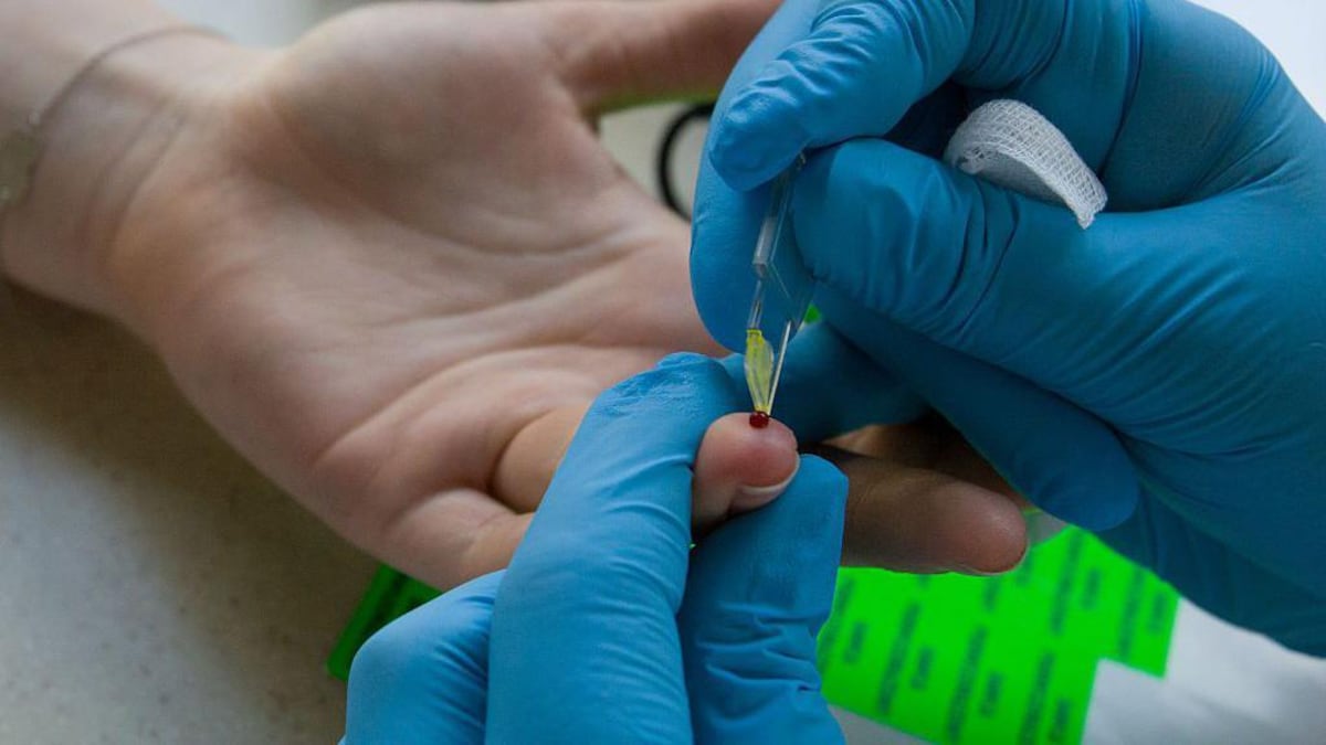 ‘Sangre dorada’: por qué los científicos están intentando cultivar la sangre más rara del mundo en un laboratorio