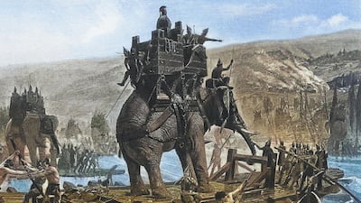 El hueso que podría ser evidencia del mítico paso de un elefante de guerra de Aníbal por Europa