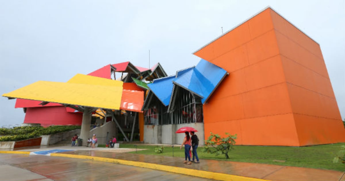 Domingos de biodiversidad.