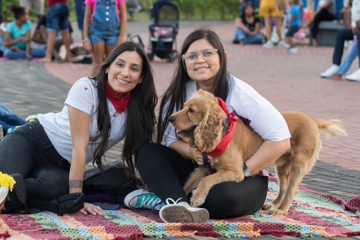 Música, cine y cultura: planes gratuitos para el fin de semana
