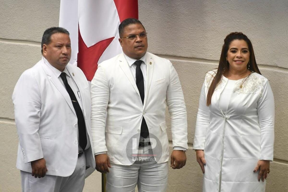 De blanco en la Asamblea Nacional