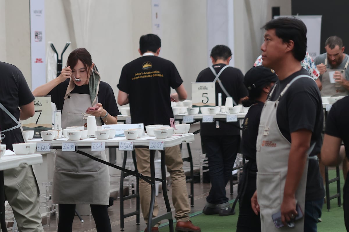 El café geisha natural se alza con el triunfo en la cata internacional ‘Best of Panama’