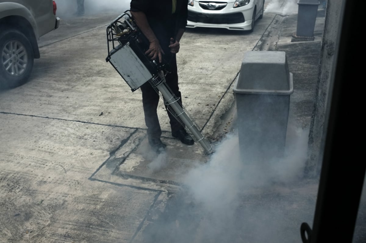 ¿Cada cuánto se fumiga un PH? ¿A quién le toca?