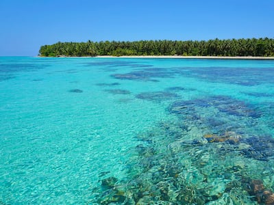 Cayo Zapatilla, en Bocas del Toro, es nombrada una de las 50 mejores playas del mundo en 2025