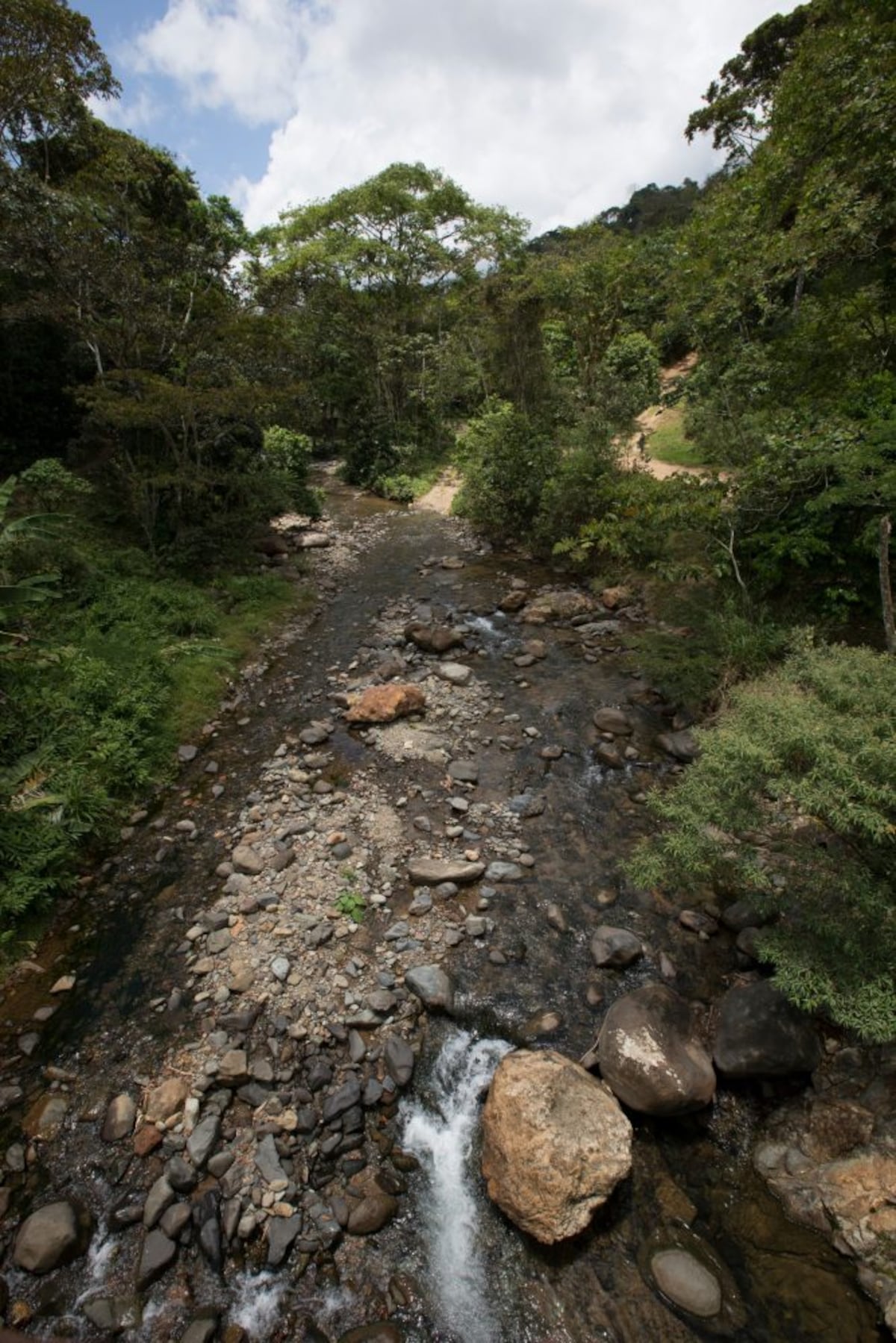 Un paraíso llamado Tierra