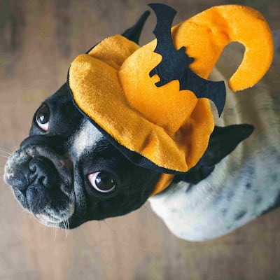 Actividades para celebrar Halloween este fin de semana (o no)