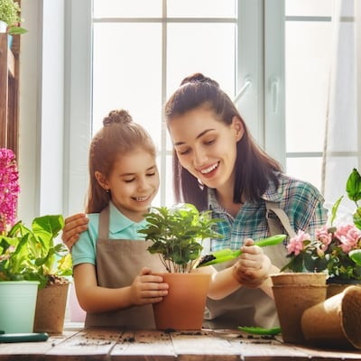 Rocíar, abonar y otros mimos para tus plantas en cuarentena