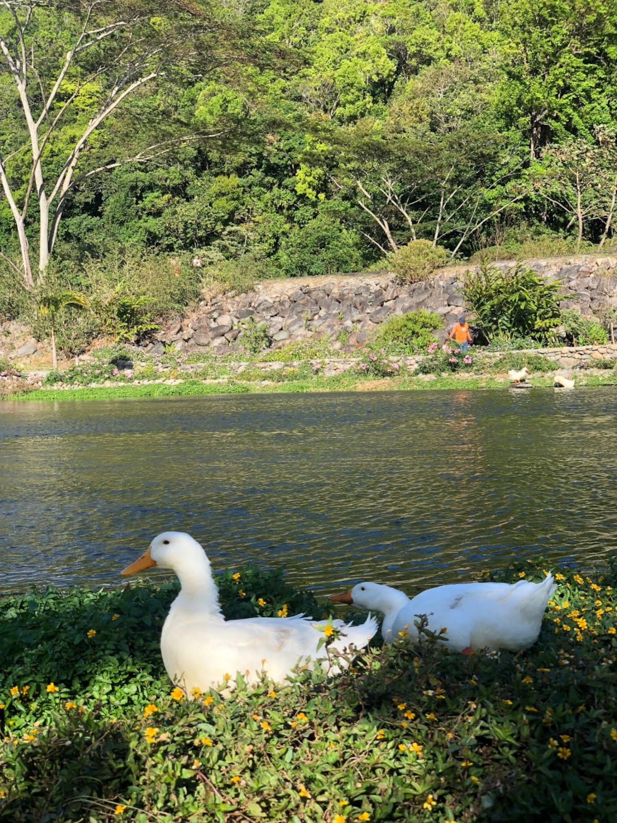 5 actividades que no te puedes perder si visitas Tierras Altas