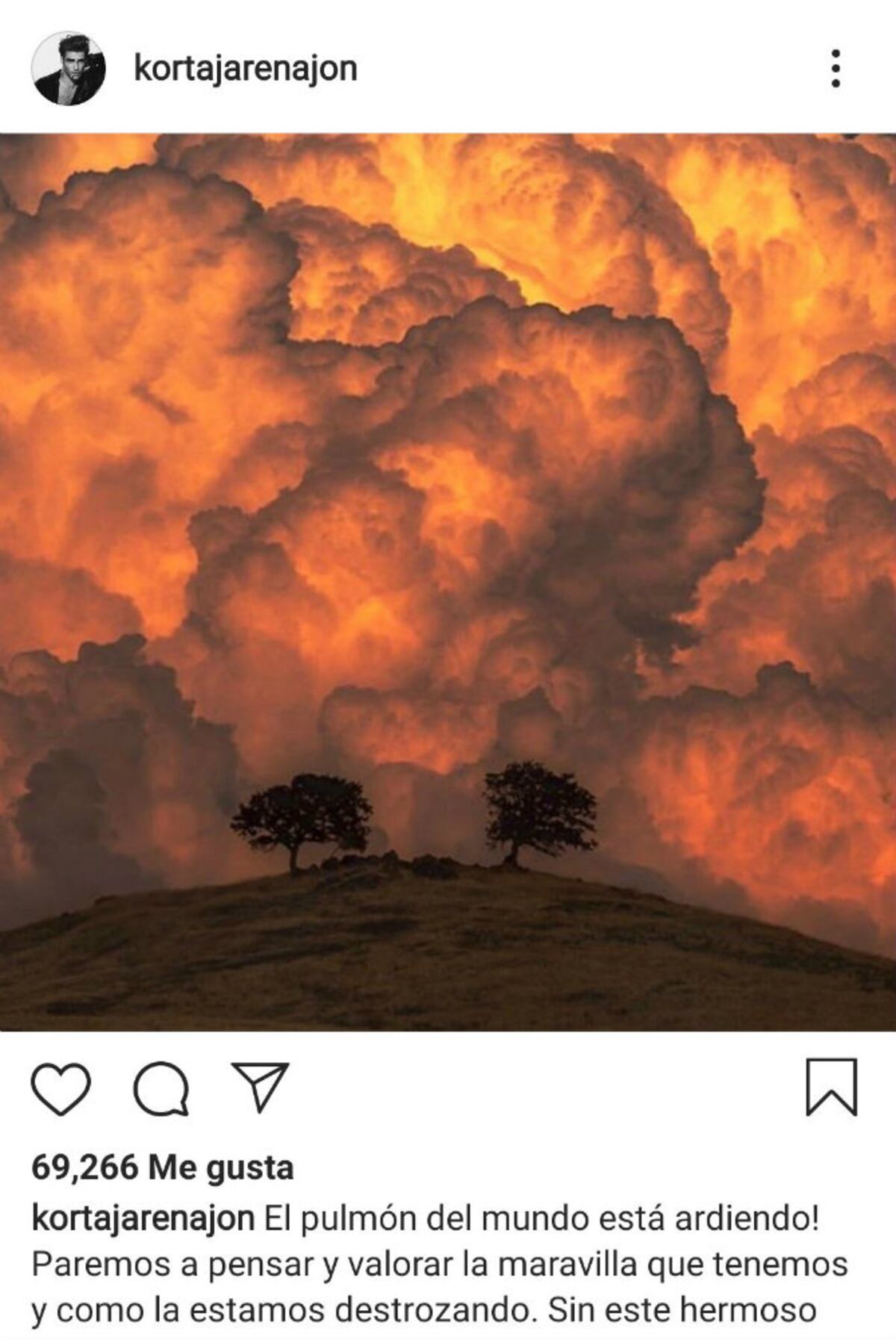 Leonardo DiCaprio y otras celebridades alzan su voz a favor del Amazonas