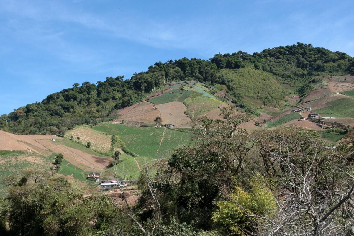 Un paraíso llamado Tierra
