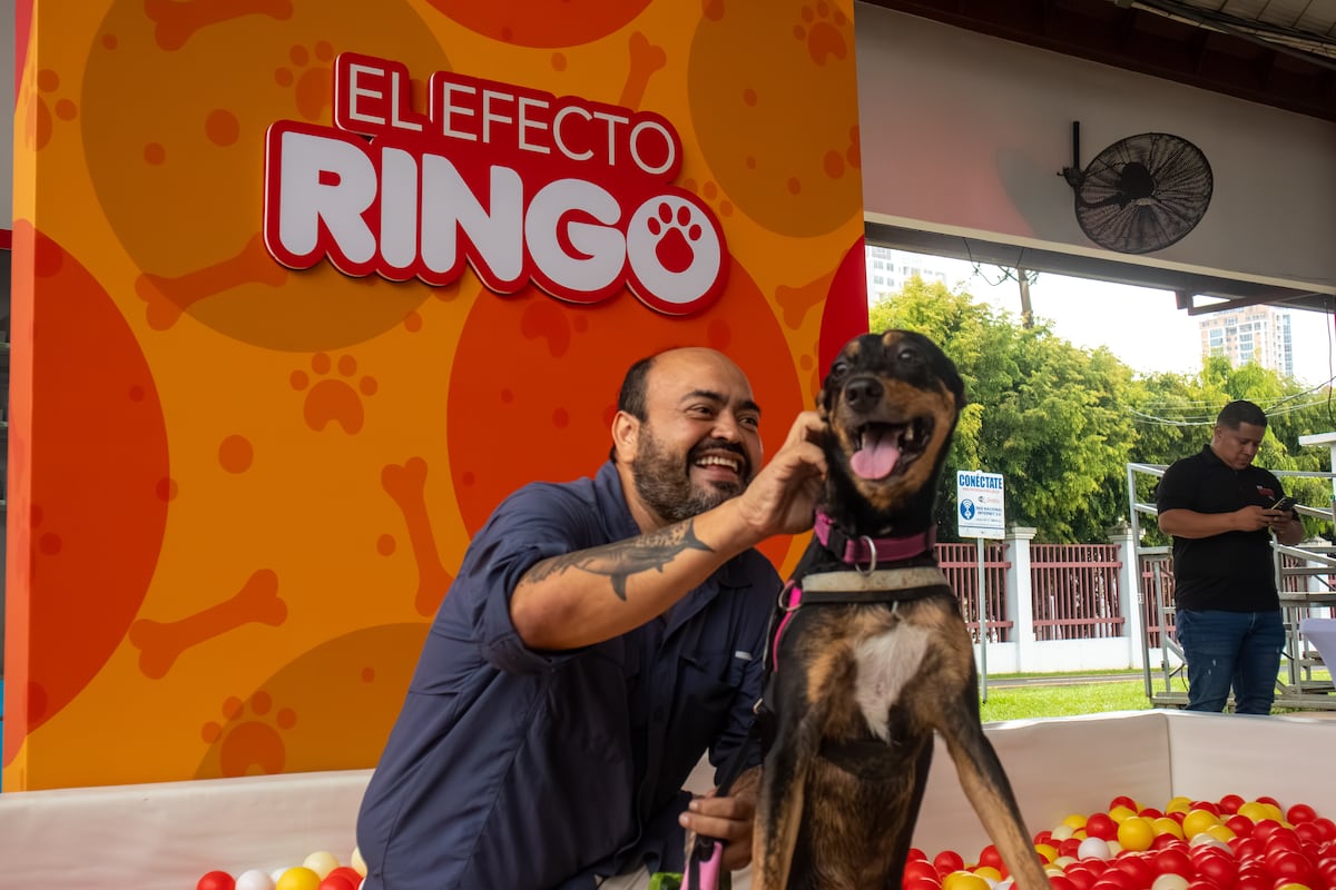 Efecto Ringo, una segunda oportunidad para las mascotas