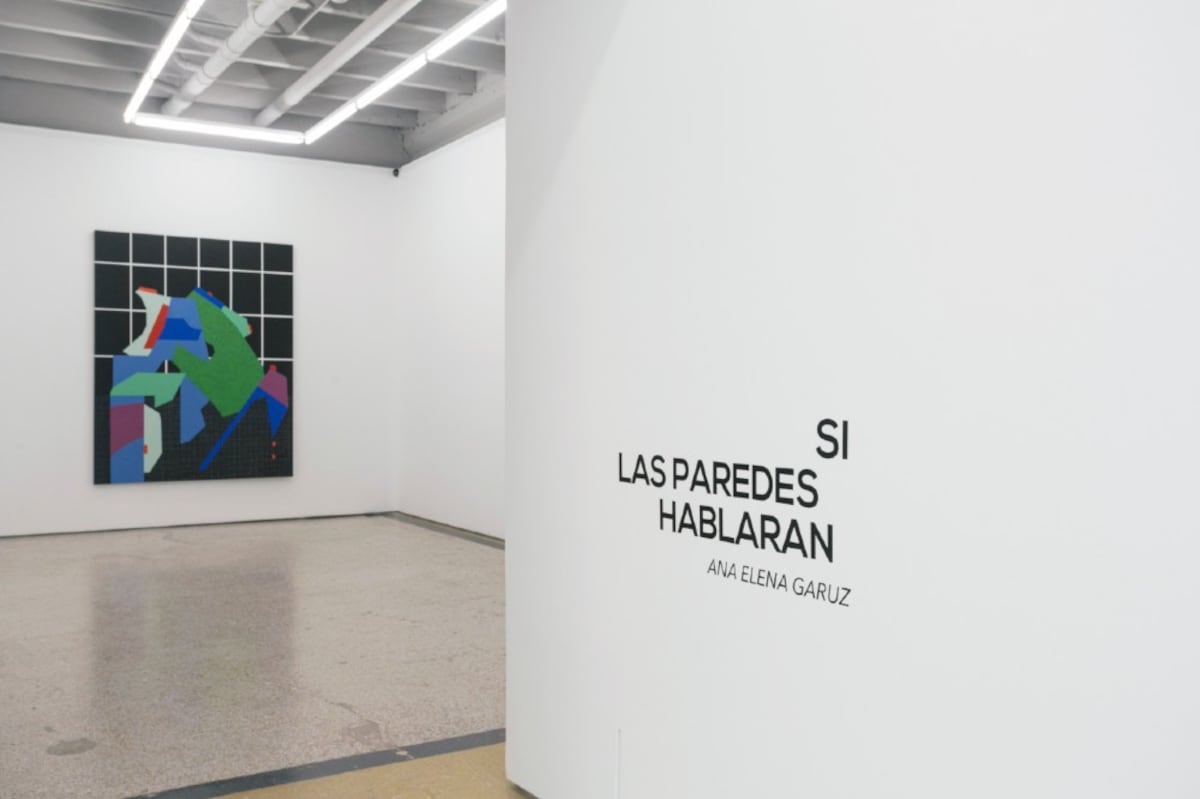 Si las paredes hablaran, la muestra de Ana Elena Garuz