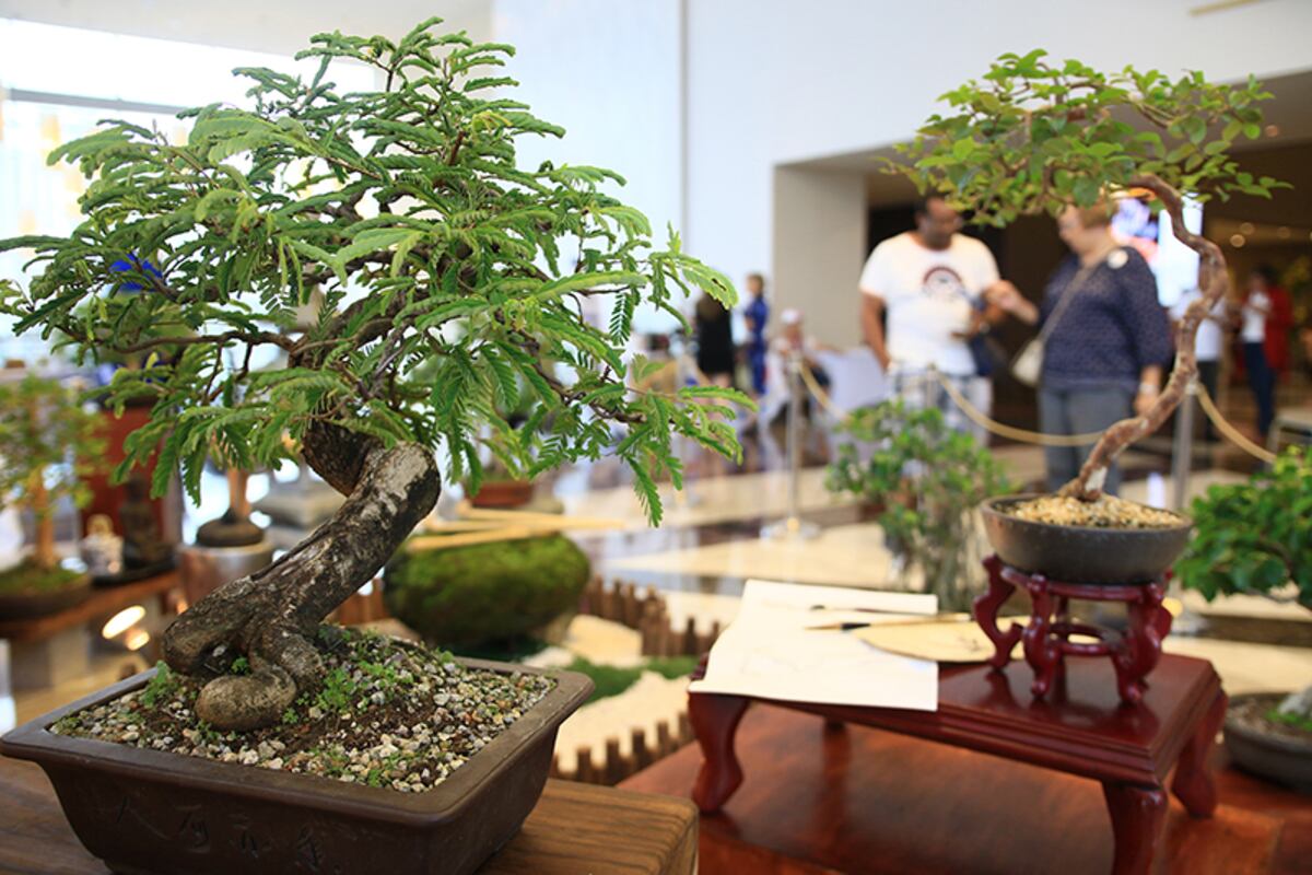 Jardines y arte en un mismo lugar